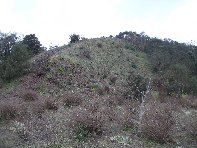 nte Ilice-20110120 063